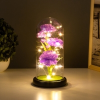 Ночник колба &laquo;Гвоздики&raquo; LED сиреневый 3хААА 10,5х10,5х22см