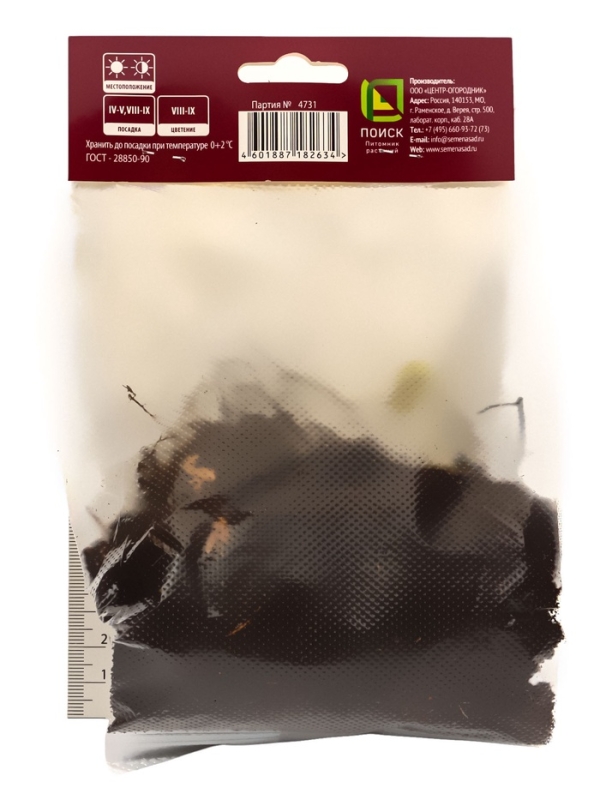 Клопогон простой, р-р I, 1 шт, Весна 2025 Клопогон простой, р-р I, 1 шт, Весна 2025