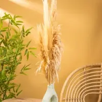 Ваза терракота "Флорина" 18х10х27 см