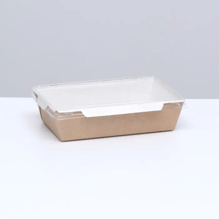 Контейнер с плоской крышкой, крафт, 0,8 л, 19 х 13 х 5,5 см