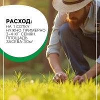 Семена газонной травы Hello grass, Universell Gras, 1 кг