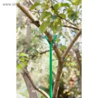 Опора для ветвей, h = 200 см, d = 1.6 см, металл, зелёная, Greengo