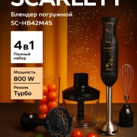 Погружной мощный блендер с насадками 800 Вт, SC-HB42M45
