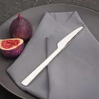 Нож столовый Доляна &laquo;Нью Гастро&raquo;, длина 20 см, толщина 2 мм, цвет серебряный