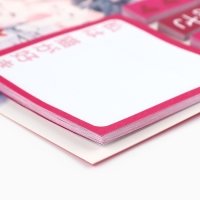 Книжка стикеров &laquo;Аниме девочка с кошкой&raquo;, 5 блоков, 30 л