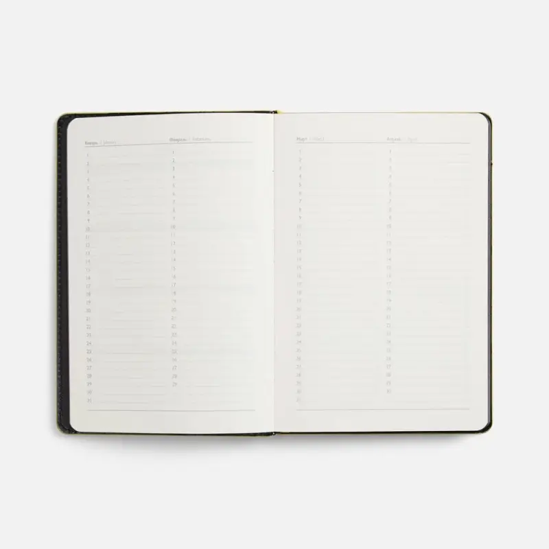 Ежедневник Alanis, недатированный, черный c желтым