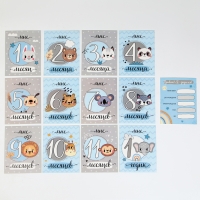 Набор подарочный: Мягкая игрушка+прорезыватель+карточки для фото "Слон", 18 см.