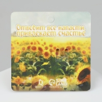 Булавка-оберег «Обретение истинного счастья», цвет бело-синий в золоте Булавка-оберег «Обретение истинного счастья», цвет бело-синий в золоте