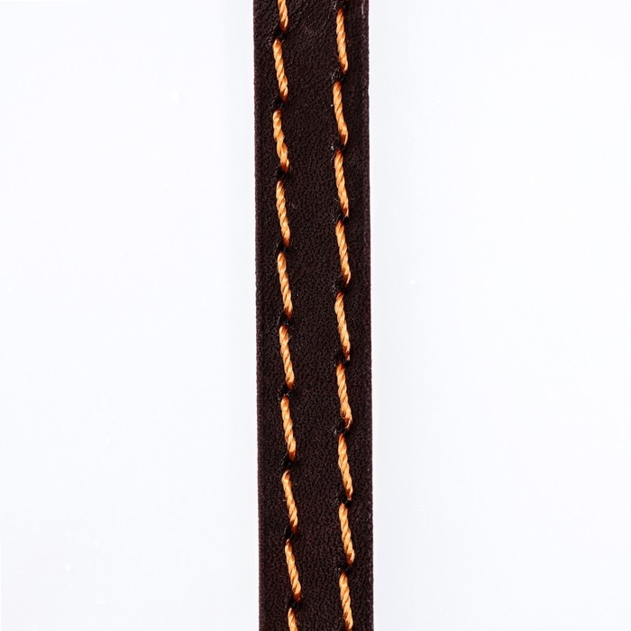 Поводок кожаный однослойный, простроченный, 1.37 м х 1 см, коричневый Поводок кожаный однослойный, простроченный, 1.37 м х 1 см, коричневый