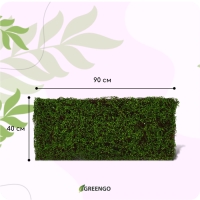 Декоративная панель, 90 &times; 40 см, &laquo;Ряска&raquo;, Greengo