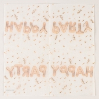 Салфетки бумажные 25*25см «Вечеринка» (набор 20 шт) Салфетки бумажные 25*25см «Вечеринка» (набор 20 шт)