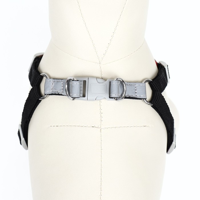 Комплект Sport+, S, поводок 120 x1 ,5 см, ОШ 39-41 см, ОГ 44-48 см, вес животного 7-13 кг, чёрный 9 Комплект Sport+, S, поводок 120 x1 ,5 см, ОШ 39-41 см, ОГ 44-48 см, вес животного 7-13 кг, чёрный 9