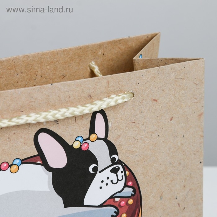 Пакет подарочный, упаковка, &laquo;Вкусняшка&raquo;, 19,5 х 14,5 х 8,5 см