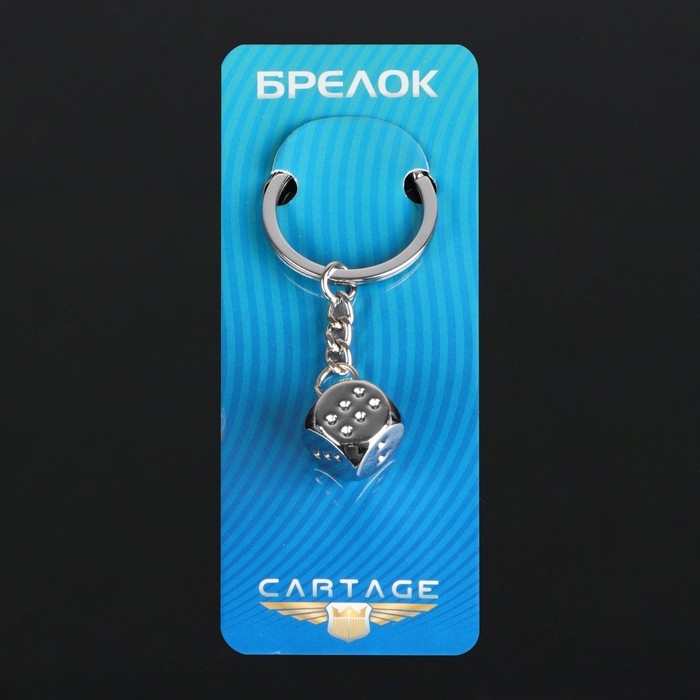 Брелок для ключей Cartage, Брелок для ключей Cartage, "Кость на удачу", хром