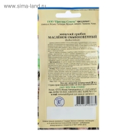 Мицелий грибов Маслёнок обыкновенный, 50 мл Мицелий грибов Маслёнок обыкновенный, 50 мл