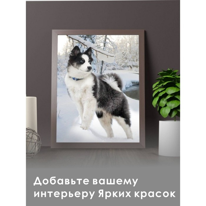 Алмазная мозаика &laquo;Хаски&raquo;, 30 &times; 40 см