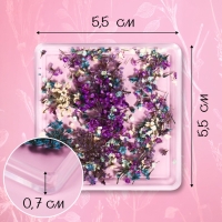 Сухоцветы для декора ногтей, в футляре, вид МИКС Сухоцветы для декора ногтей, в футляре, вид МИКС