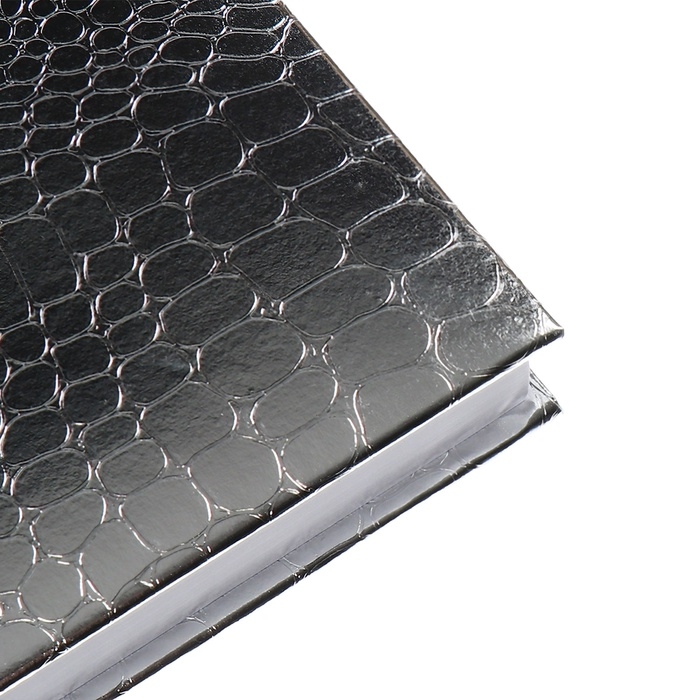 Ежедневник датированный 2025 A5 168 листов, Attomex. Arkona, твердая обложка, бумвинил с поролоном, ляссе,блок 70, серый Ежедневник датированный 2025 A5 168 листов, Attomex. Arkona, твердая обложка, бумвинил с поролоном, ляссе,блок 70, серый