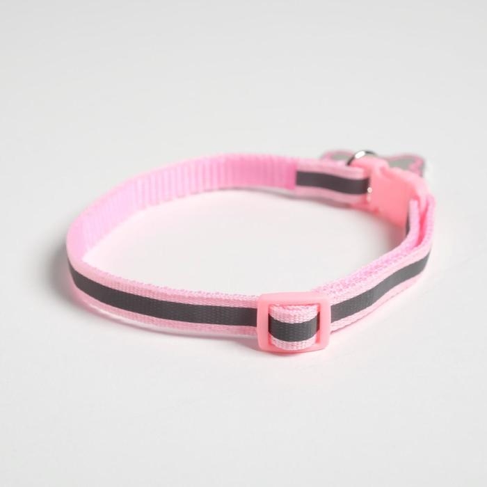 Ошейник светоотражающий с адресником, 30&times;1 см, капрон, розовый