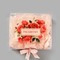 Подарочная коробка с тишью и гирляндой &laquo;Расцветай&raquo;, 20 х 18 х 5 см