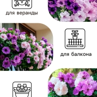 Семена цветов Петуния  Махровая Каскадная Блю&Орхид F1, смесь, О, 10шт