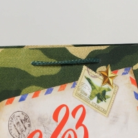 Пакет подарочный ламинированный горизонтальный, упаковка, &laquo;С 23 февраля&raquo;, ML 25 х 21 х 8 см