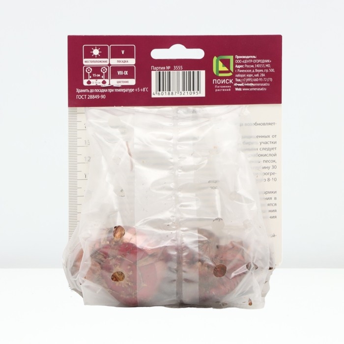 Гладиолус крупноцветковый &laquo;Магма&raquo;, луковица в пакете с перфорацией, р-р 12/14, 5 шт.