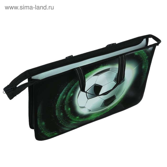 Папка с ручками А4, 335 х 235 х 55 мм, пластиковая, ручки-тесьма, Calligrata "Мяч"