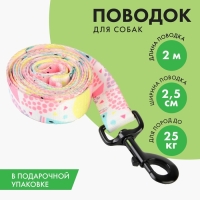 Поводок &laquo;Сочное настроение&raquo;, 2.5 см, 2 м