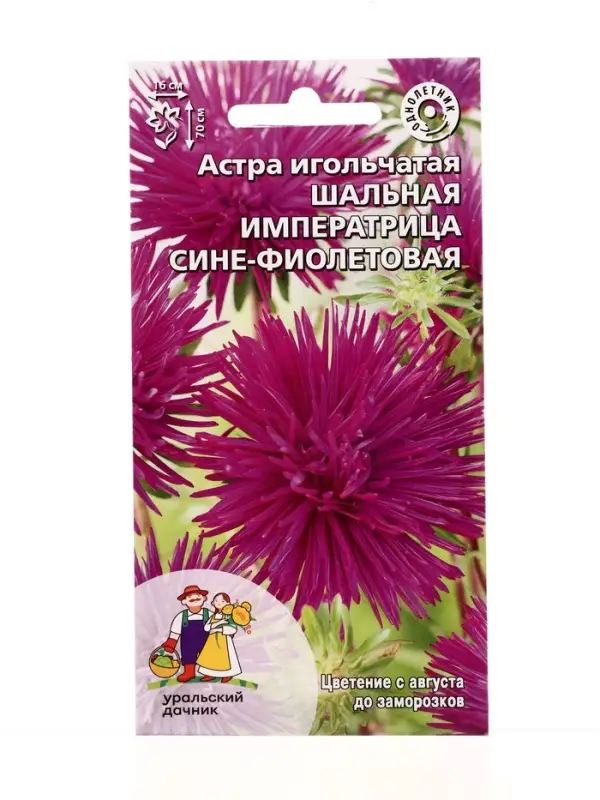 Семена Цветы Астра игольчатая Шальная императрица сине-фиолетовая (УД) Е/П , Е/П,  0,2 г.