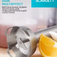 Блендер погружной SC-HB42F09