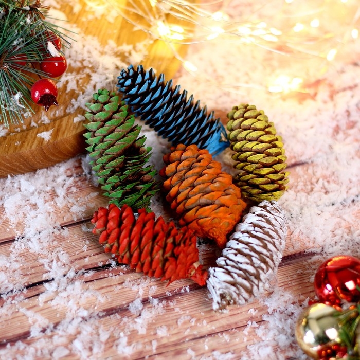 Набор еловых шишек для декора &laquo;Цветные&raquo; 6 шт., МИКС