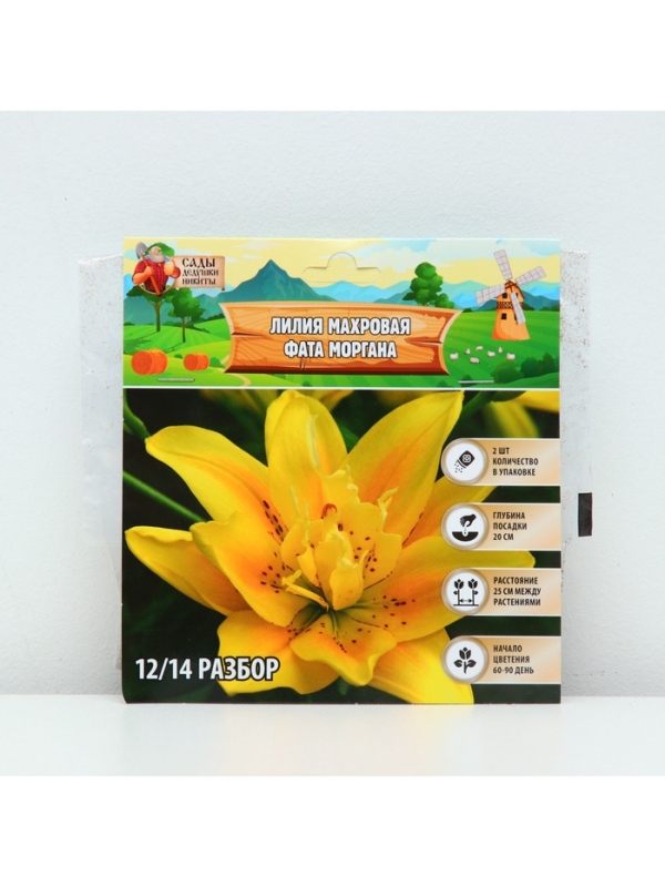 Лилия Махровая Fata Morgana, луковица в пакете с перфорацией, р-р 12/14, 2 шт.