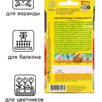 Семена  Петуния мини "Малыш" F1 многоцветковая,смесь окрасок, 7 шт