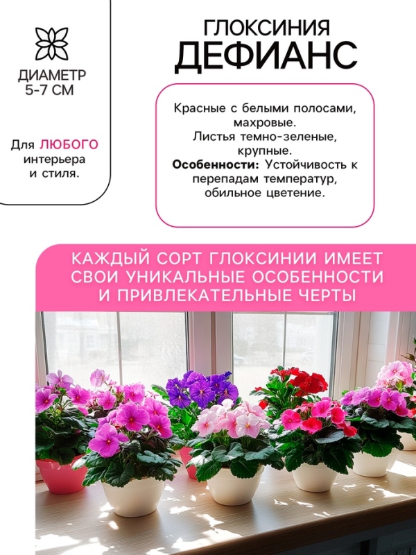 Глоксиния &laquo;Дефианс&raquo; многолетник, комнатный, луковица в пакете с перфорацией, р-р 5/6, 2 шт.