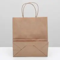 Пакет крафт без печати, круглая ручка 22&times;12&times;28 см