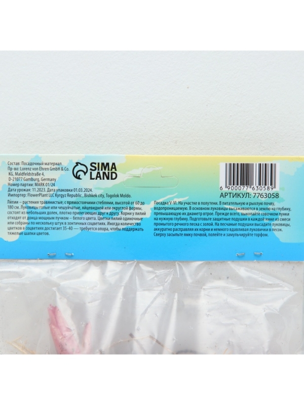 Лилия &laquo;Ориентал Диззи&raquo;, луковица в пакете с перфорацией, р-р 14/16, 2 шт.