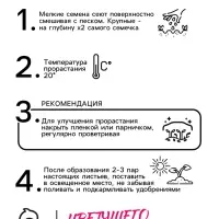 Семена Обриета "Смесь гибридная", ц/п,  0,03 гр.