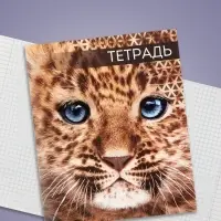 Тетрадь 48 листов в клетку, Calligrata &laquo;Дикие кошки&raquo;, обложка мелованная бумага, МИКС