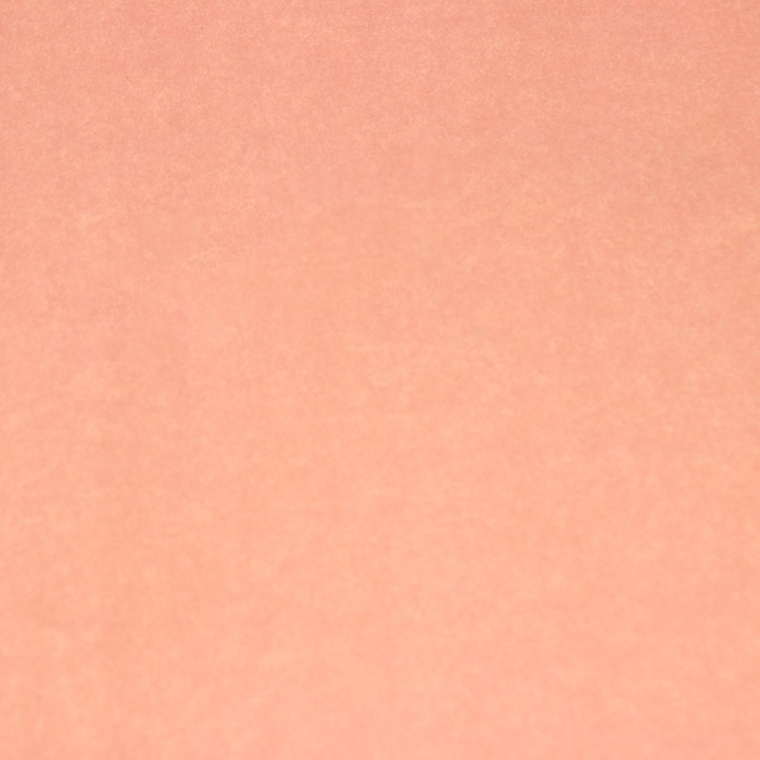 Пергамент флористический Пергамент флористический "Кофейный" 0,6 х 10 м, 52 г/м2