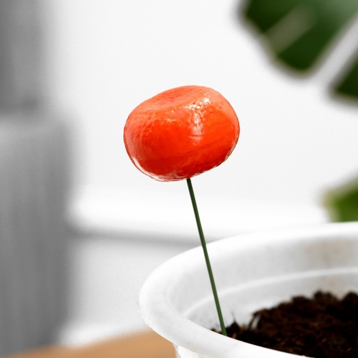 Набор штекеров Набор штекеров "Мандарин" 10шт, 3см, длина 25см