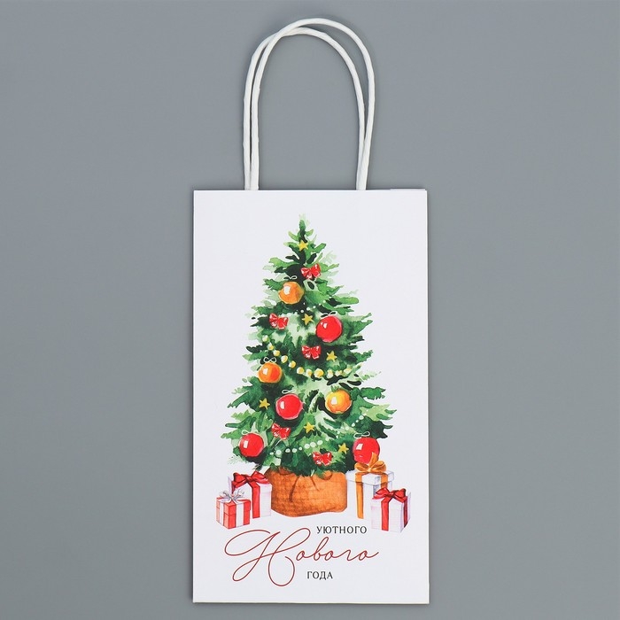 Пакет подарочный новогодний крафтовый &laquo;Уют в доме&raquo;, 12 х 21 х 9 см, Новый год