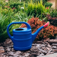 Лейка, 10 л, с рассеивателем, носик d = 35 мм, цвет МИКС, &laquo;Классика&raquo;