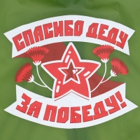 Карнавальный набор &laquo;С днём победы!&raquo;, рост 104-152 см, дождевик, флажок