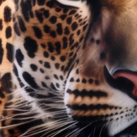 Антистресс подушка &laquo;Леопард&raquo;