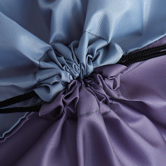 Мешок для обуви &laquo;Весёлый щенок&raquo; с дополнительными элементами, 30 х 40 см