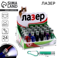 Лазер &laquo;Для кошачьего веселья&raquo;, цвета МИКС, в шоубоксе