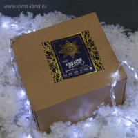 Гирлянда &laquo;Водопад&raquo; 2 &times; 6 м, IP44, УМС, прозрачная нить, 1500 LED, свечение белое, 8 режимов, 220 В