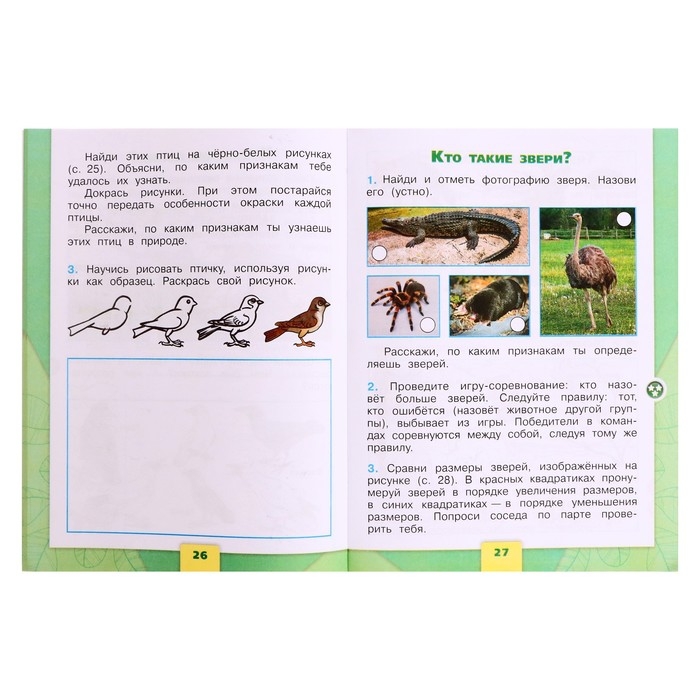 Рабочая тетрадь &laquo;Окружающий мир 1 класс&raquo;, В 2-х частях, Ч.1, Плешаков А. А., 2024