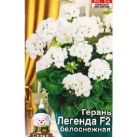 Семена цветов Герань Легенда F2 белоснежная Мн Зимний сад, Ц/П,5 шт.